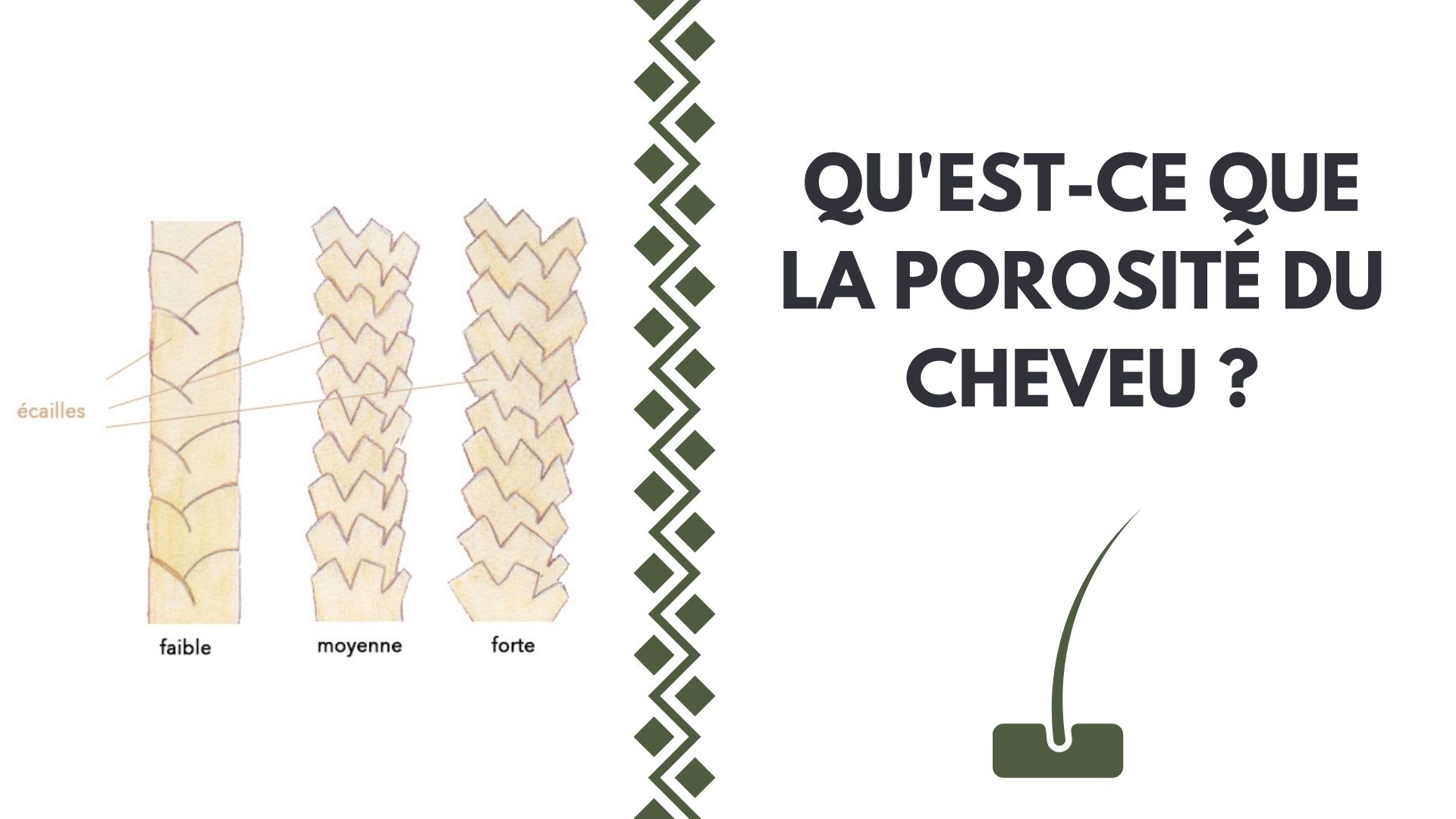 OU-3 Routine Capillaire