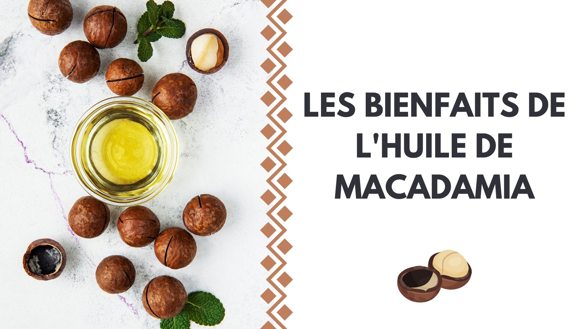 LES BIENFAITS DE L’HUILE DE MACADAMIA